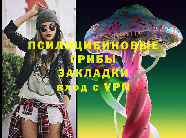 сатива Ступино