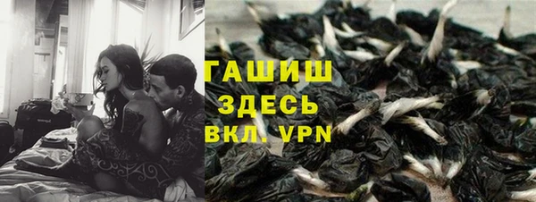 первитин Дмитриев