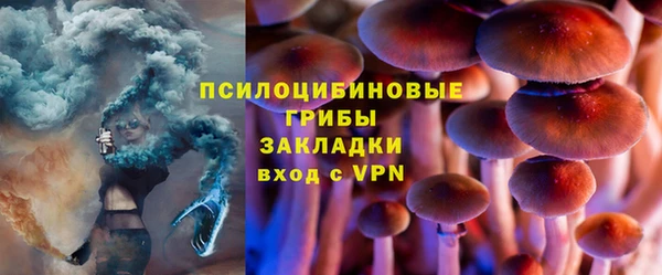 первитин Дмитриев